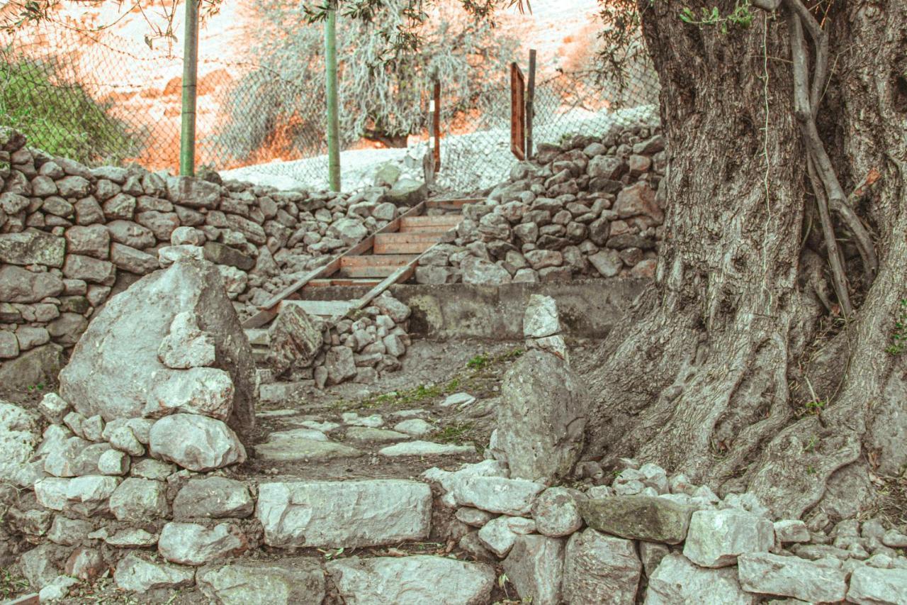 Hobbit Village Dana Εξωτερικό φωτογραφία