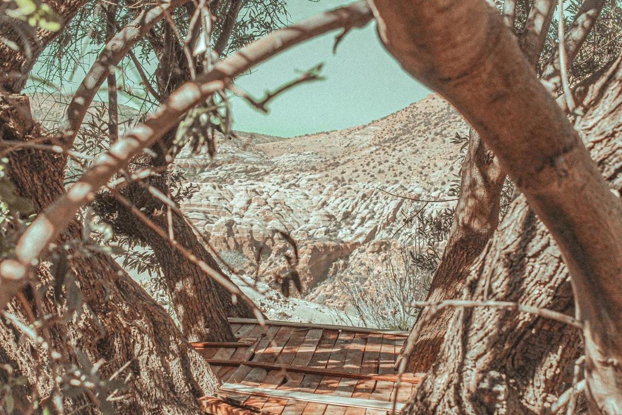 Hobbit Village Dana Εξωτερικό φωτογραφία