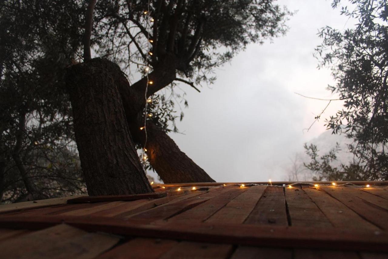 Hobbit Village Dana Εξωτερικό φωτογραφία