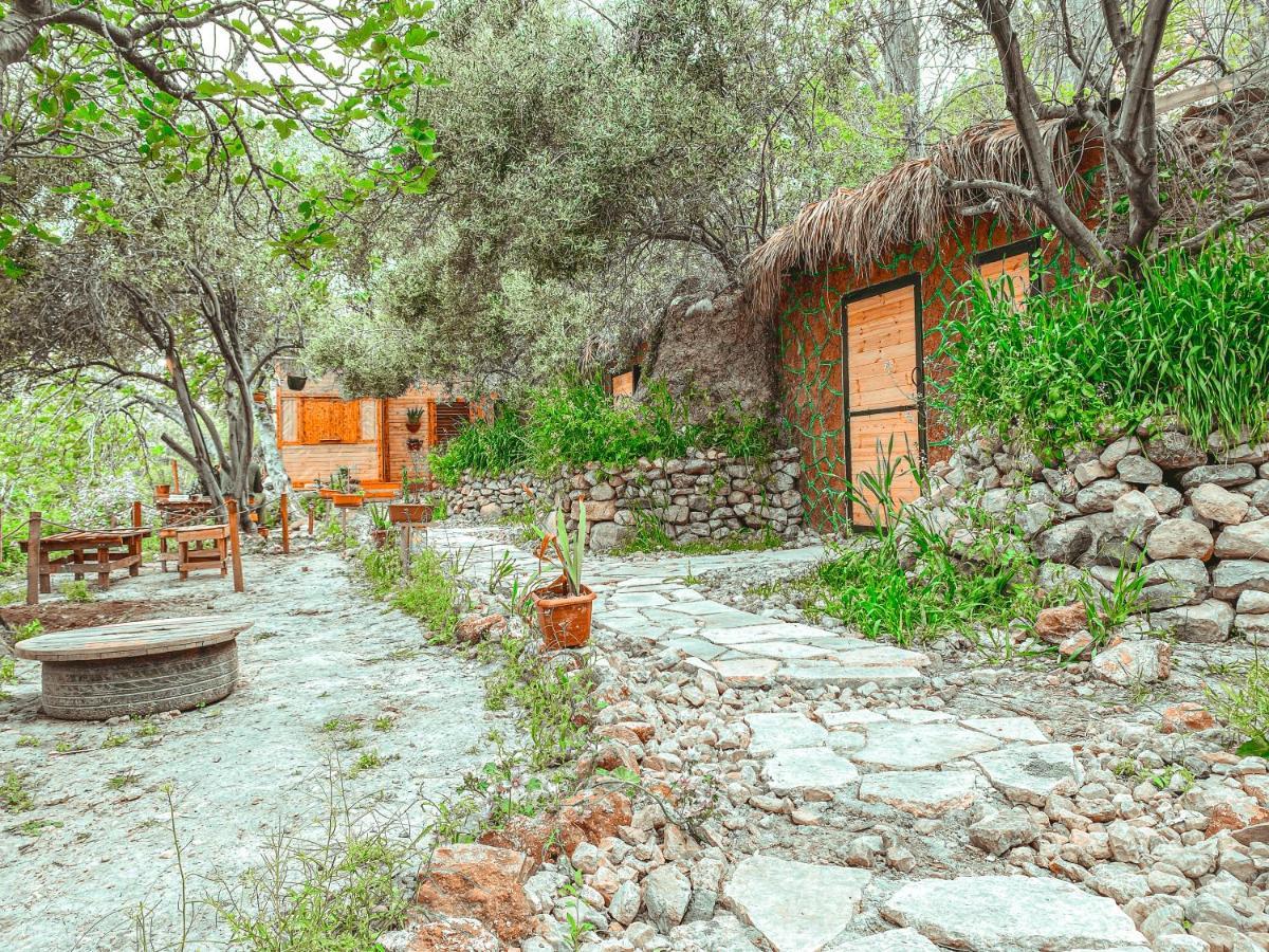 Hobbit Village Dana Εξωτερικό φωτογραφία